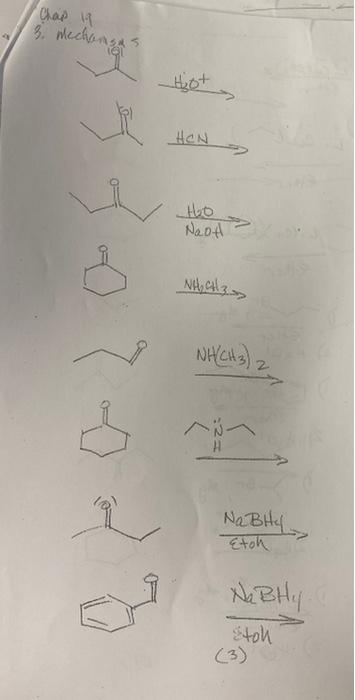 Solved 2+ohNaBH4 (3) | Chegg.com