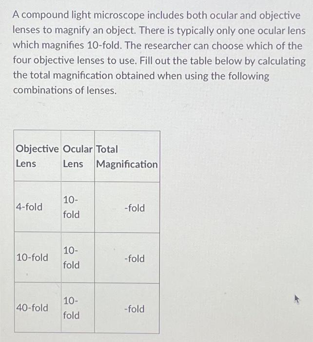 A compound light microscope includes both ocular and | Chegg.com
