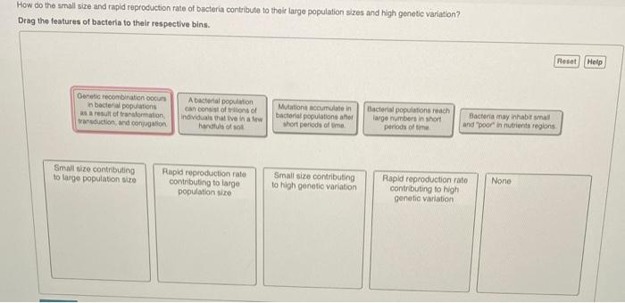 Solved How do the small size and rapid reproduction rate of | Chegg.com