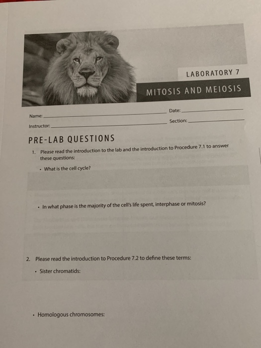 Solved LABORATORY 7 MITOSIS AND MEIOSIS Date Name Section