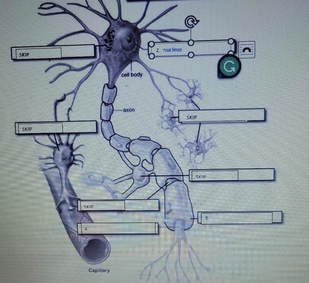 Solved i just need number 3 and 4 | Chegg.com
