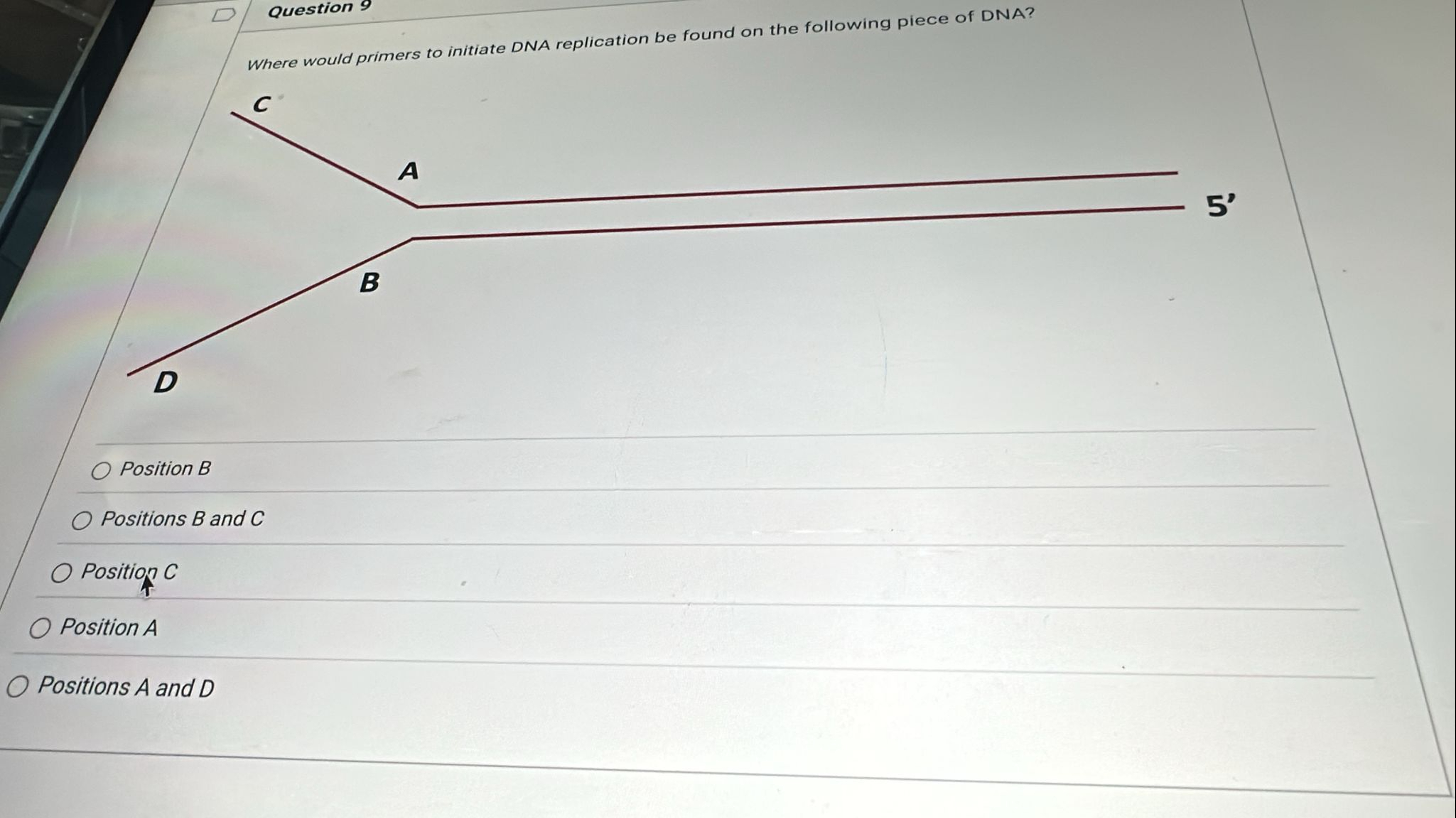 Solved Question 9Where would primers to initiate DNA