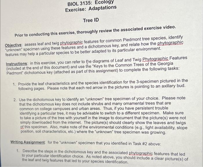 BIOL 3135: Ecology
Exercise: Adaptations
Tree ID
Prior to conducting this exercise, thoroughly review the associated exercise