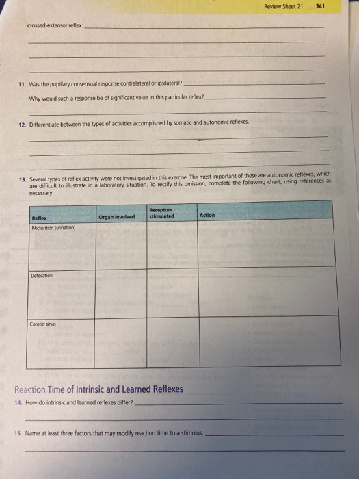 U Vew Sheet Questions Using Mastering A P Review Chegg 