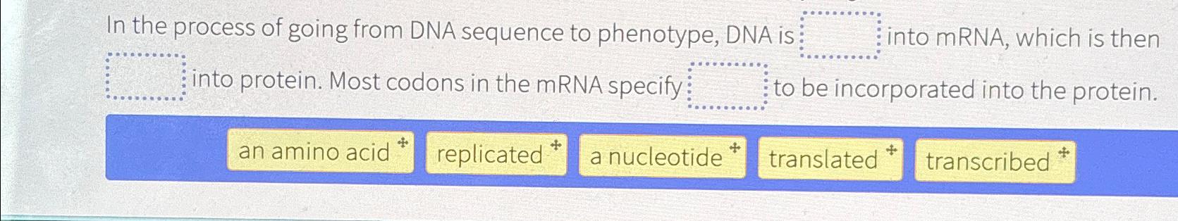 Solved In the process of going from DNA sequence to | Chegg.com