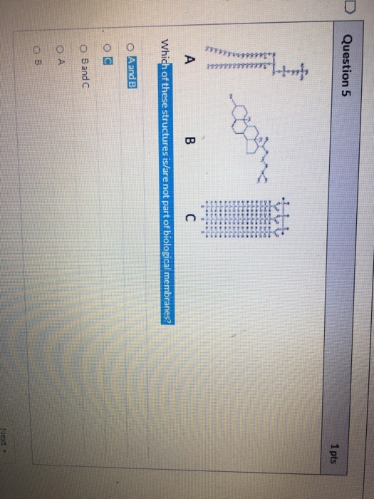 Solved Question 5 1 pts A B С Which of these structures | Chegg.com