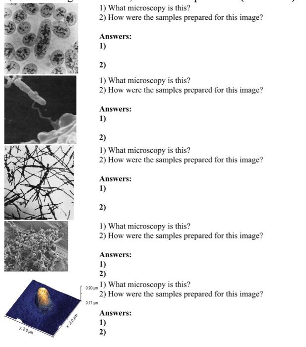 Solved 1) What microscopy is this? 2) How were the samples | Chegg.com