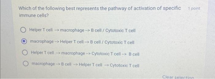 Solved Which Of The Following Best Represents The Pathway Of | Chegg.com