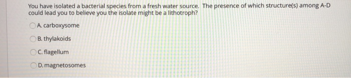 Solved You have isolated a bacterial species from a fresh | Chegg.com