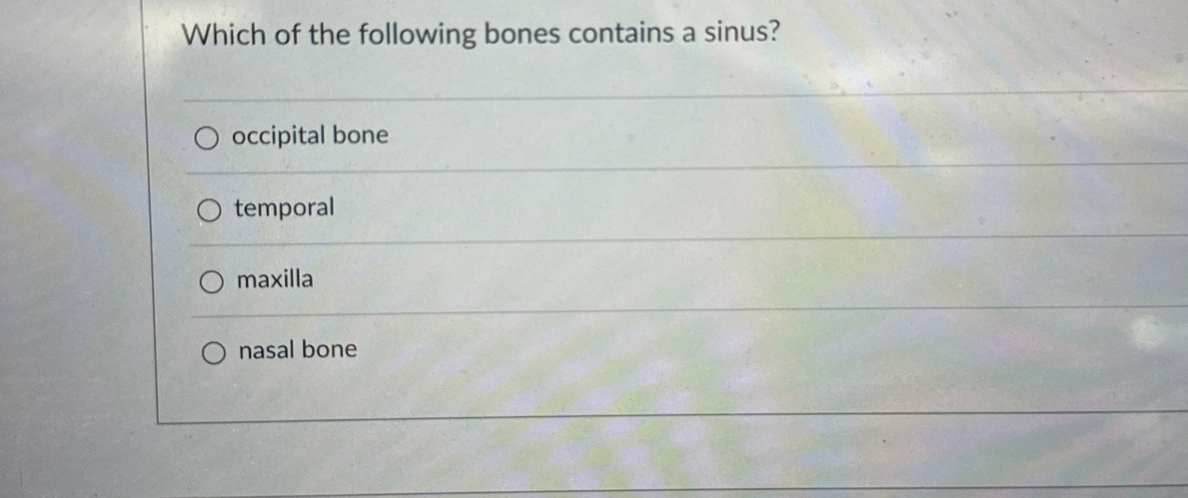 Solved Which of the following bones contains a | Chegg.com