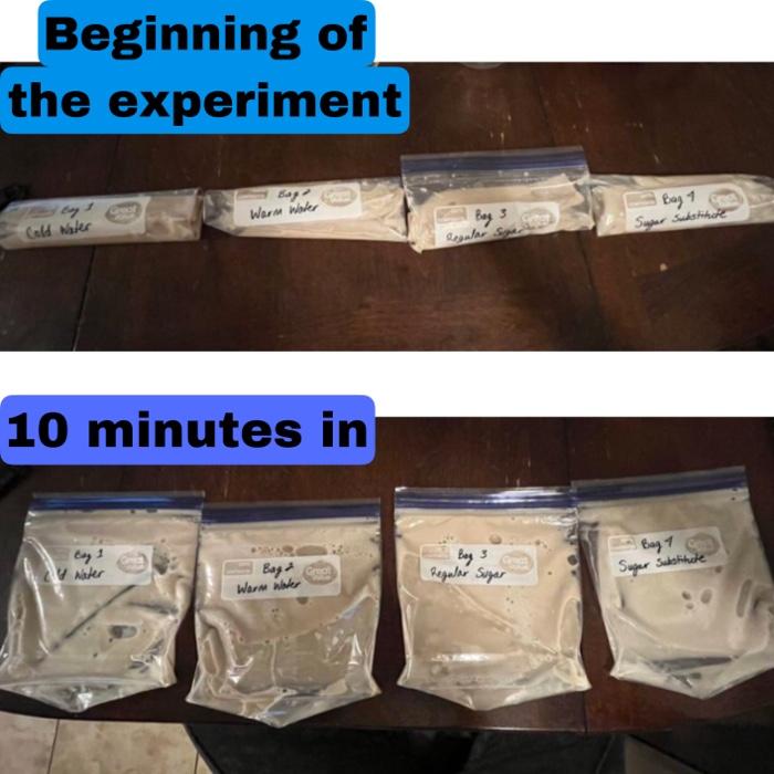 Beginning of the experiment 10 minutes in Pics at | Chegg.com