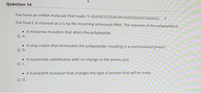 Solved Question 14 You have an mRNA molecule that reads: | Chegg.com