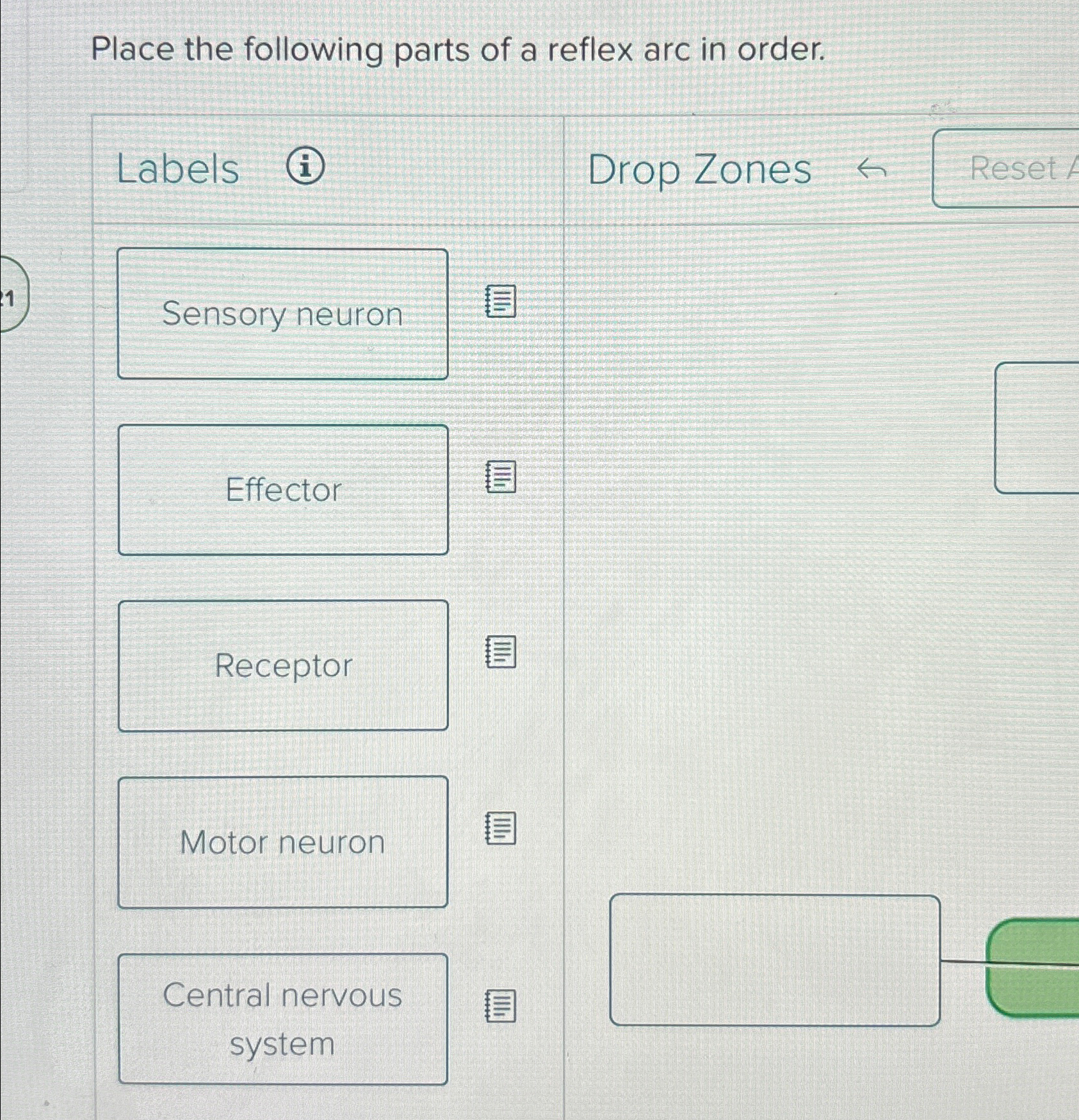 Solved Place the following parts of a reflex arc in | Chegg.com