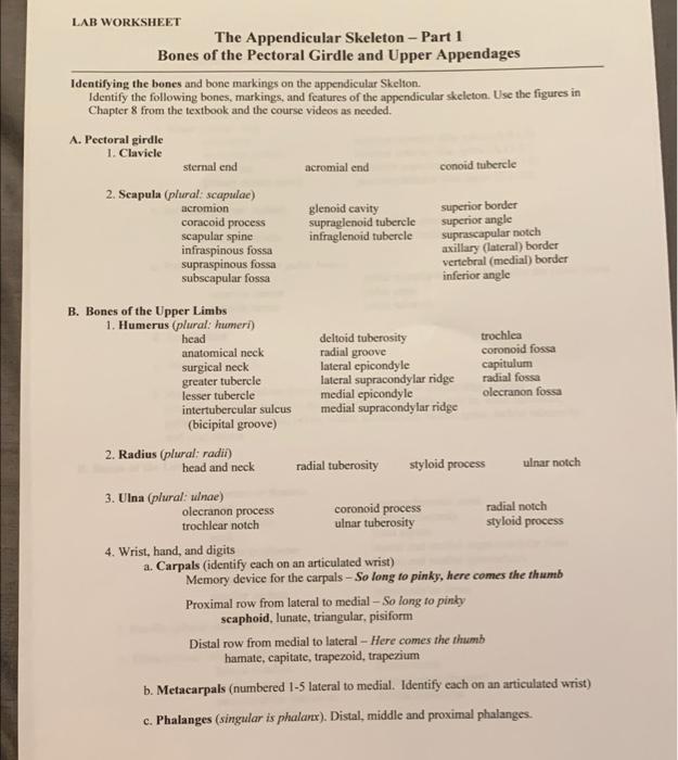 LAB WORKSHEET The Appendicular Skeleton - Part 1 | Chegg.com