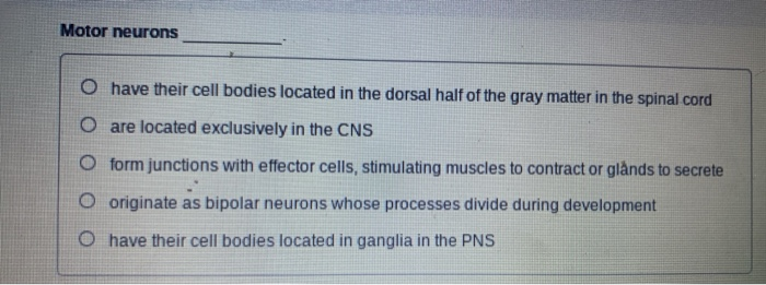 Solved Motor neurons O have their cell bodies located in the | Chegg.com