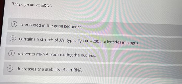 Solved The polyA tail of mRNA is encoded in the gene | Chegg.com