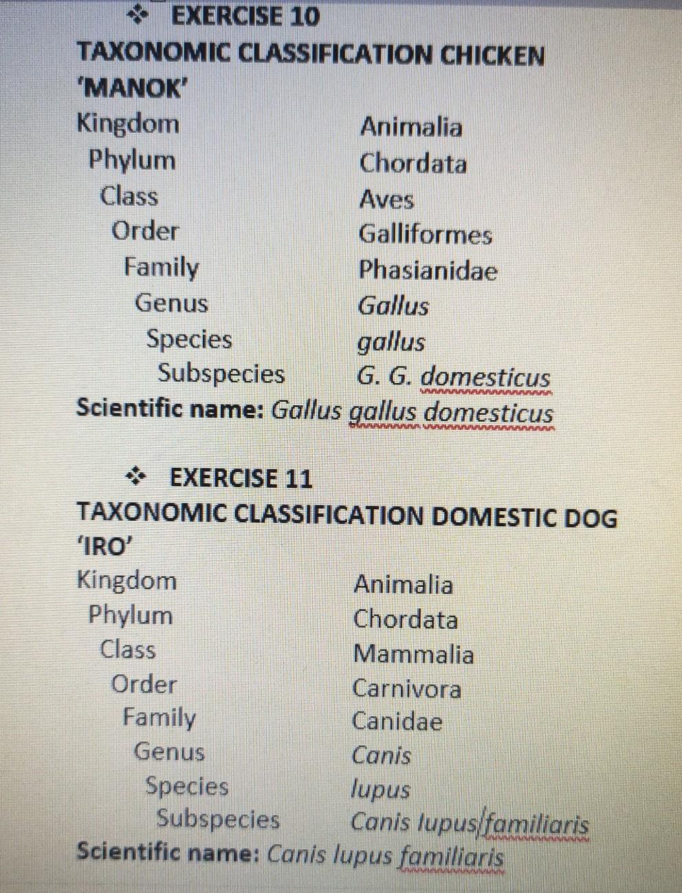 Domestic Chicken Classification