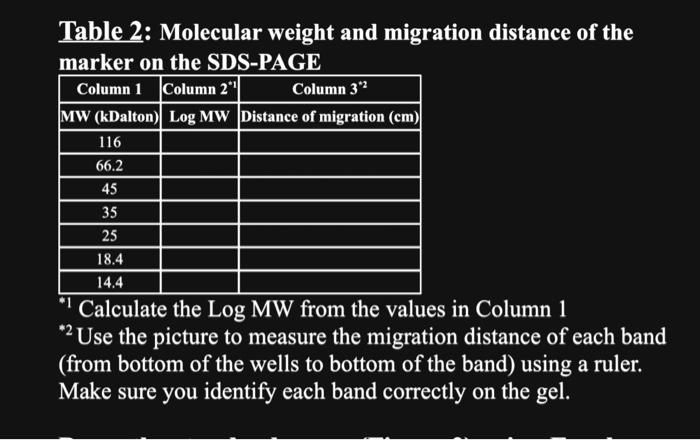 Solved Table 2: Molecular weight and migration distance of | Chegg.com