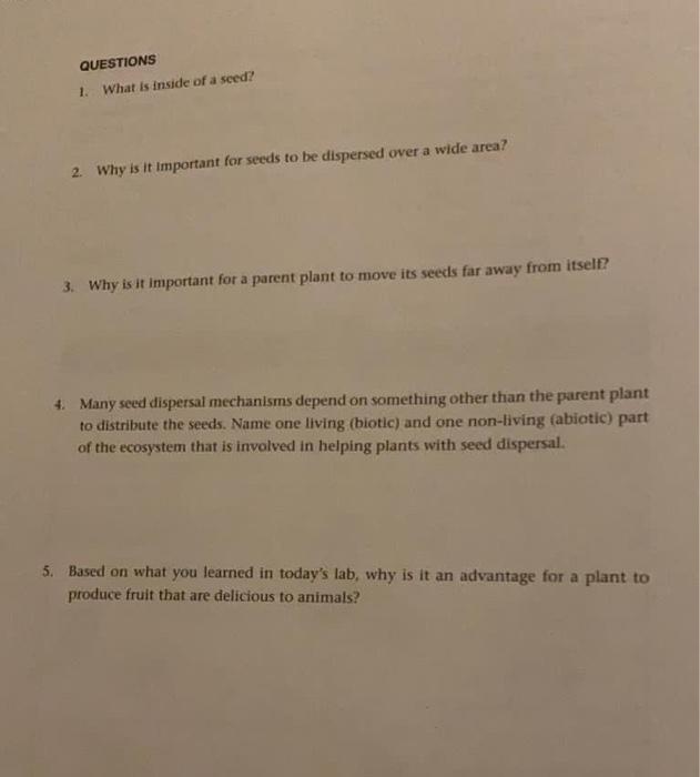 Solved QUESTIONS 1. What is inside of a seed? 2. Why is it