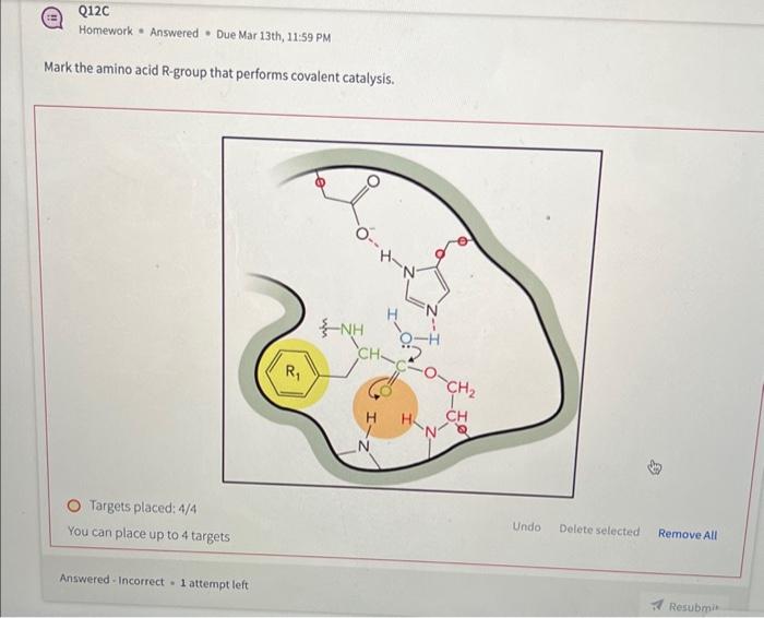 Mark the amino acid Rgroup that performs covalent