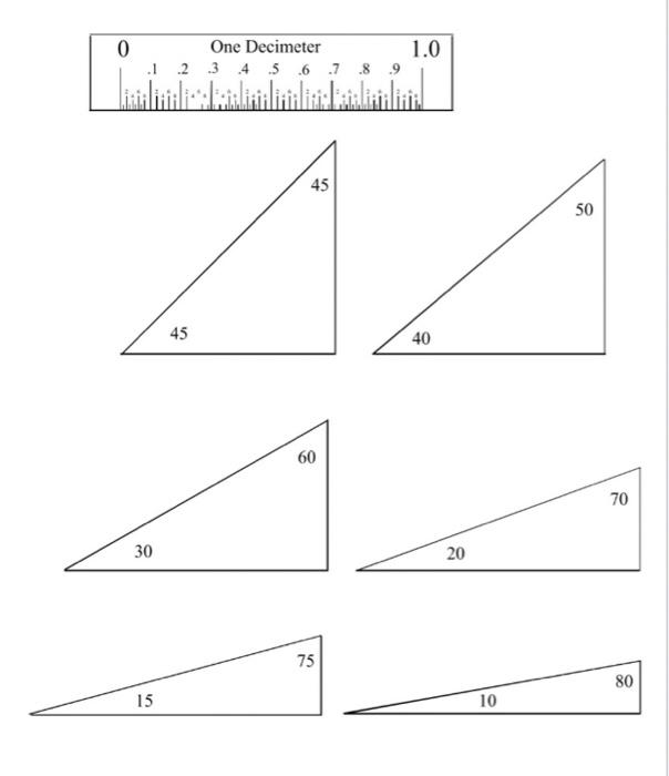 Solved Measuring Triangles Learn By Doing Activity Chegg Com