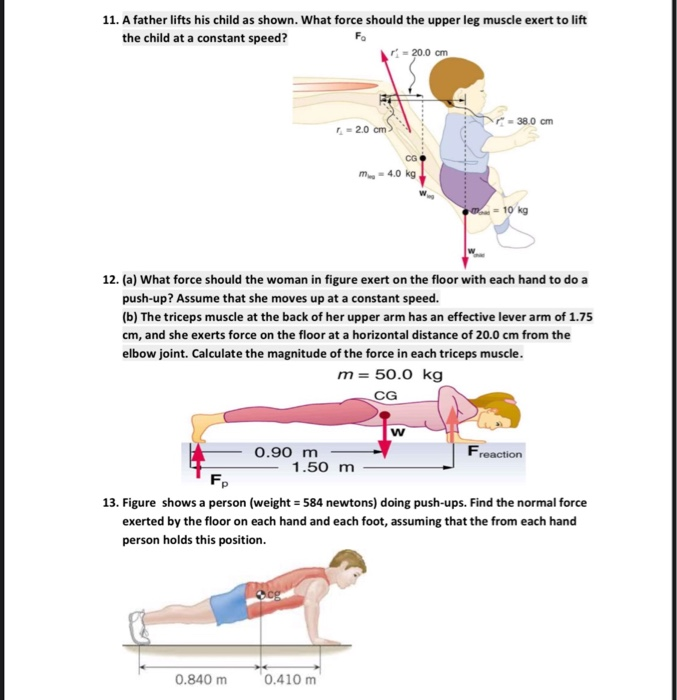Solved 11. A father lifts his child as shown. What force