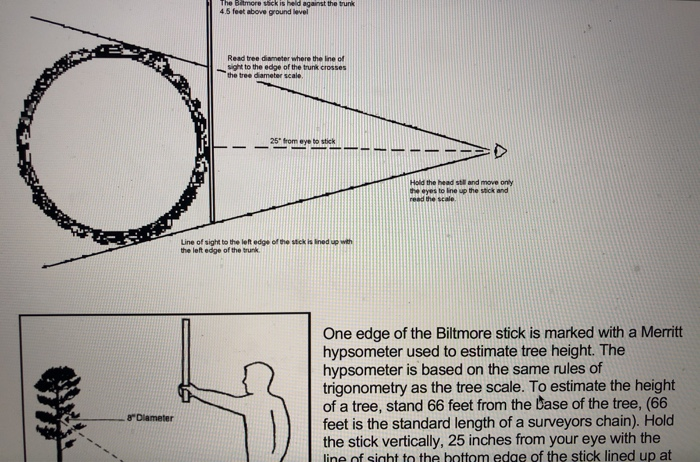 A Close-up of the Tape Measure Stock Image - Image of circumference, tape:  171275191