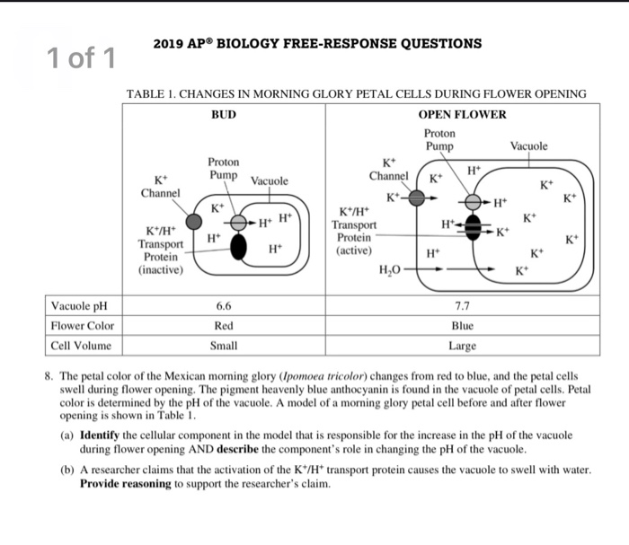 2019 APⓇ BIOLOGY FREERESPONSE QUESTIONS 1 of 1 TABLE