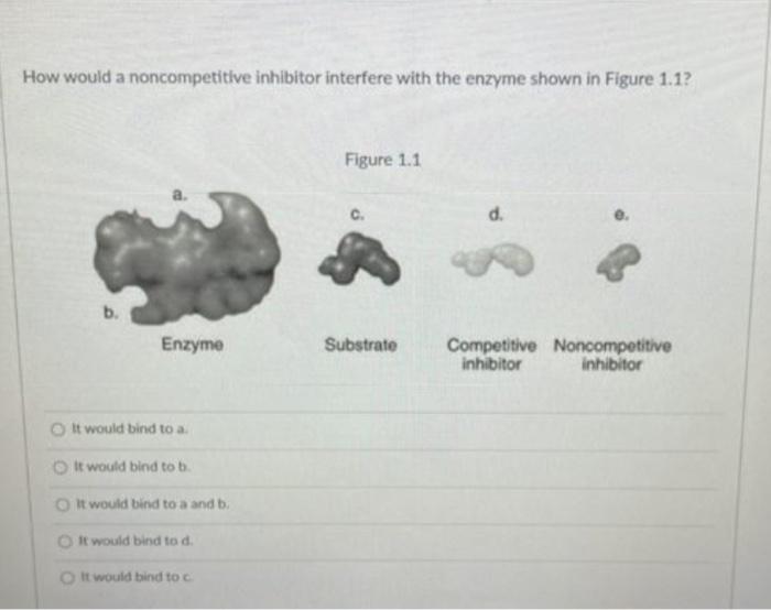 How would a noncompetitive inhibitor interfere with the enzyme shown in Figure 1.1? Figure 1.1 d. b. Enzyme Substrate Competi