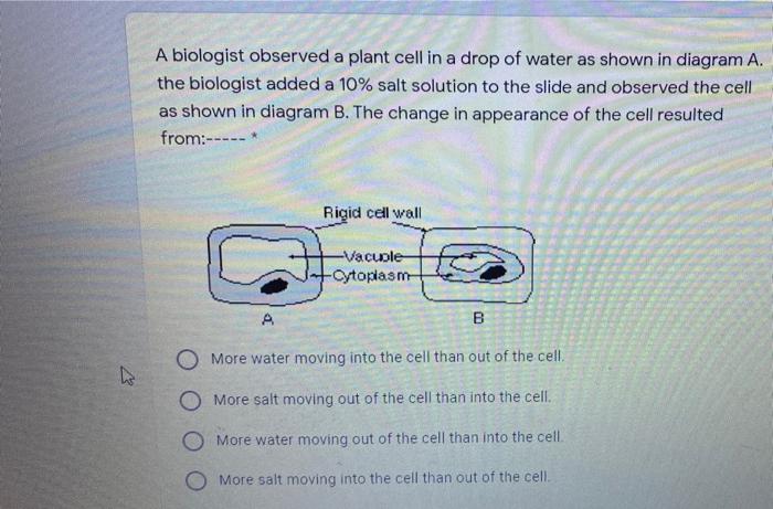 Solved A biologist observed a plant cell in a drop of water | Chegg.com