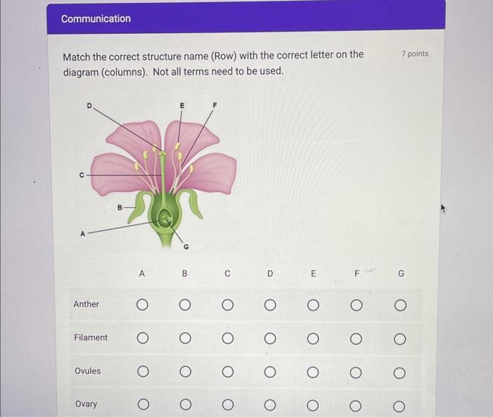 Solved Match the correct structure name (Row) with the | Chegg.com