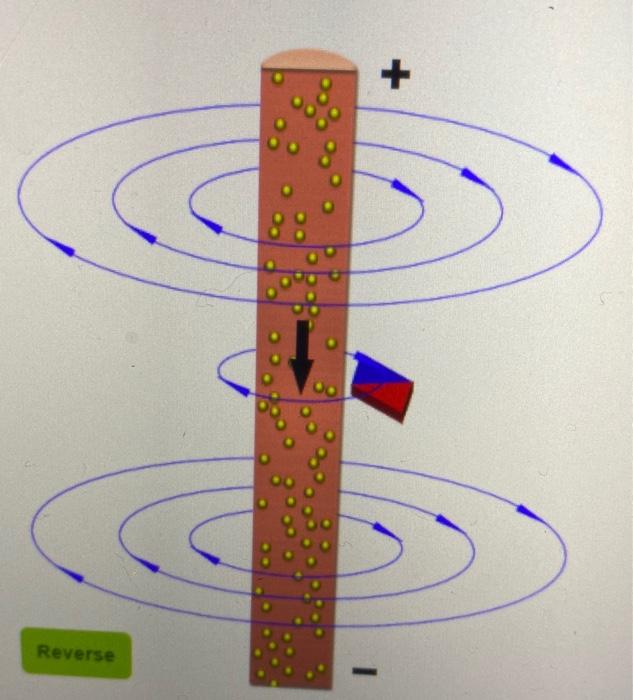 Solved Magnetic Field From a Current Carrying Wire In this | Chegg.com