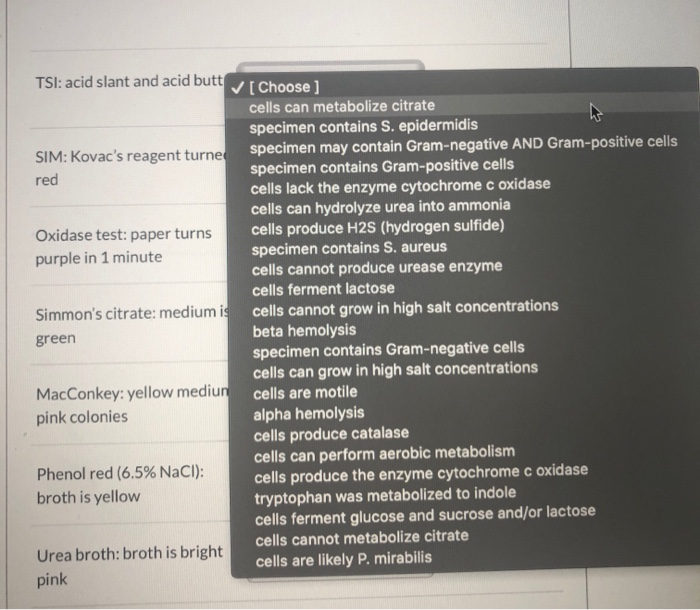 Solved TSI: acid slant and acid butt SIM: Kovac's reagent | Chegg.com