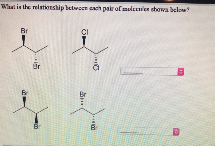 Solved What is the relationship between each pair of | Chegg.com