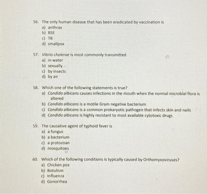 Solved 48. Yeast cells causes bread to rise because a) they | Chegg.com