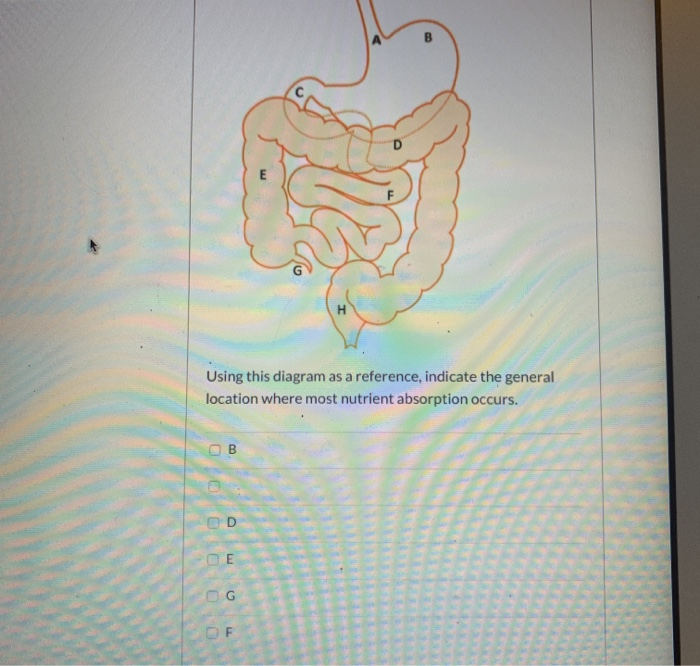 Solved E H Using This Diagram As A Reference Indicate The