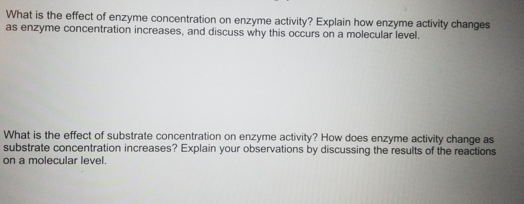 Solved What is the effect of enzyme concentration on enzyme | Chegg.com
