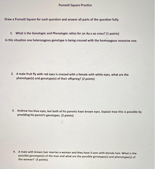 Solved Punnett Square Practice Draw a Punnett Square for | Chegg.com