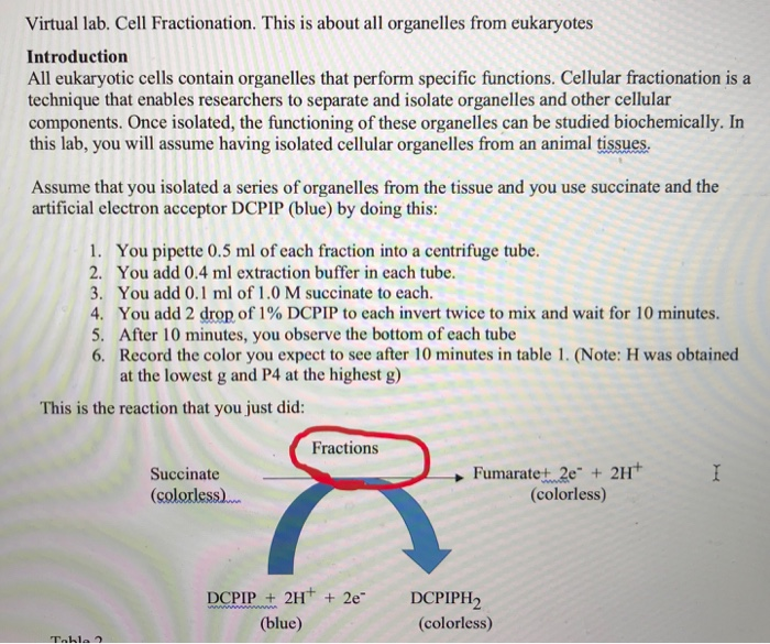 Solved Please see Step 6 in the first picture for the | Chegg.com