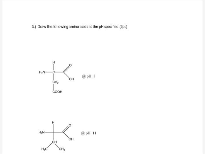 Solved 3 ) Draw the following amino acids at the pH Chegg com