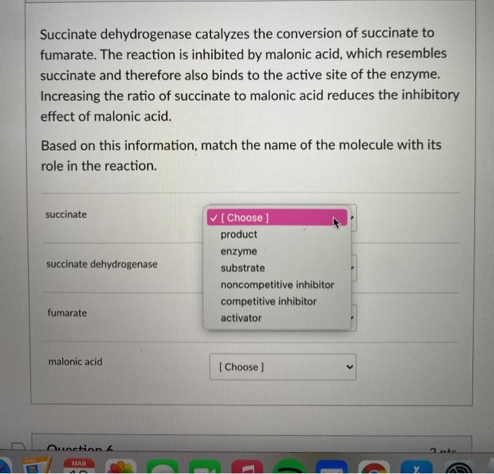 Solved Succinate Dehydrogenase Catalyzes The Conversion Of | Chegg.com