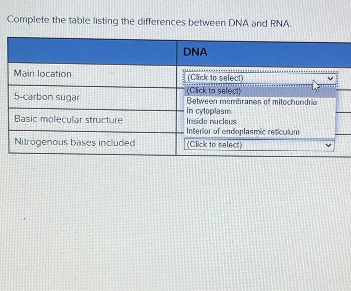 Solved Comparison of DNA and RNA Complete the table listing