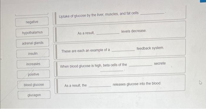 Uptake of glucose by the liver, muscles, and fat cells
As a result, levels decrease.
These are each an example of a feedback 