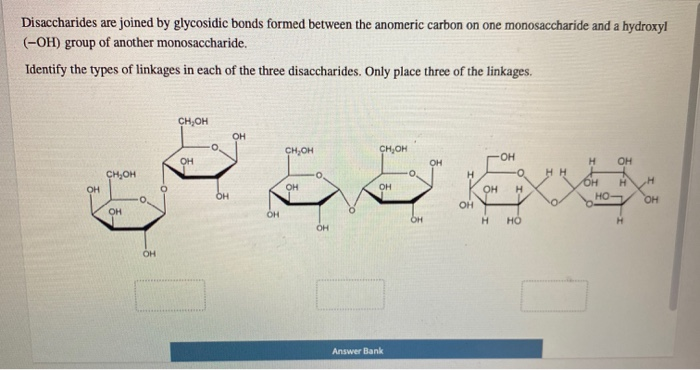 solved-disaccharides-are-joined-by-glycosidic-bonds-formed-chegg