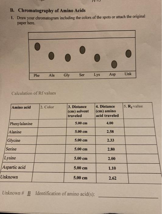 Solved B. Chromatography of Amino Acids 1. Draw your