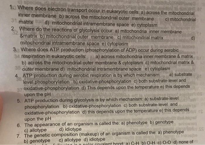 Solved 9 species 10 Where does electron transport occur in | Chegg.com