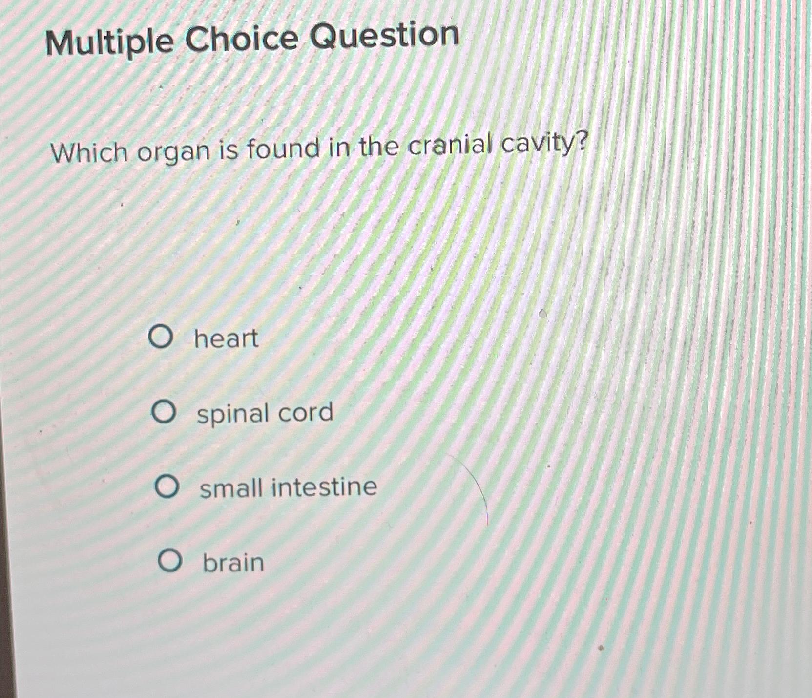 solved-multiple-choice-questionwhich-organ-is-found-in-the-chegg