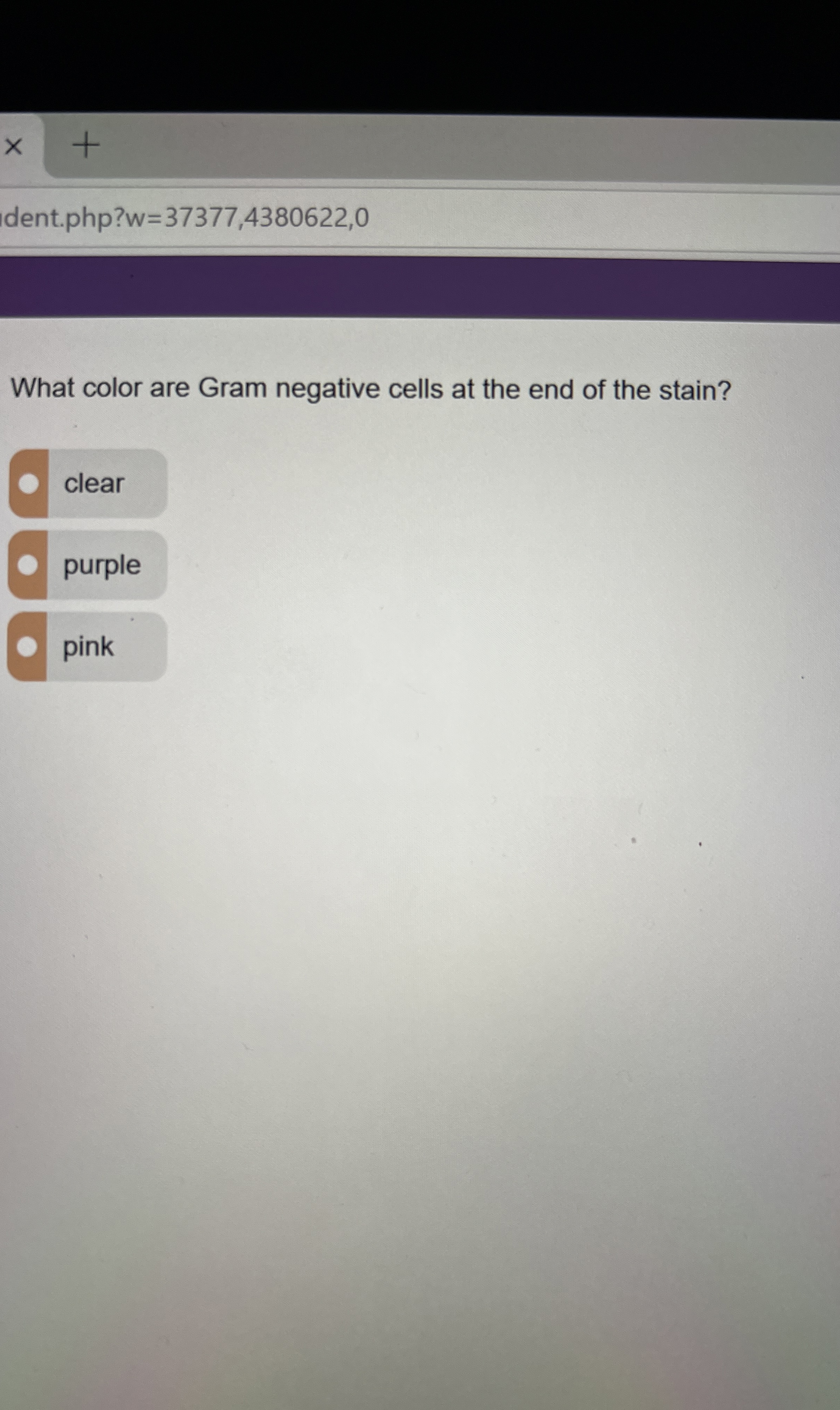 Solved What color are Gram negative cells at the end of the | Chegg.com
