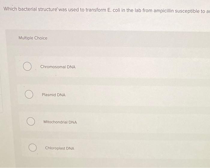 Solved Place the steps for transformation of bacteria in the | Chegg.com