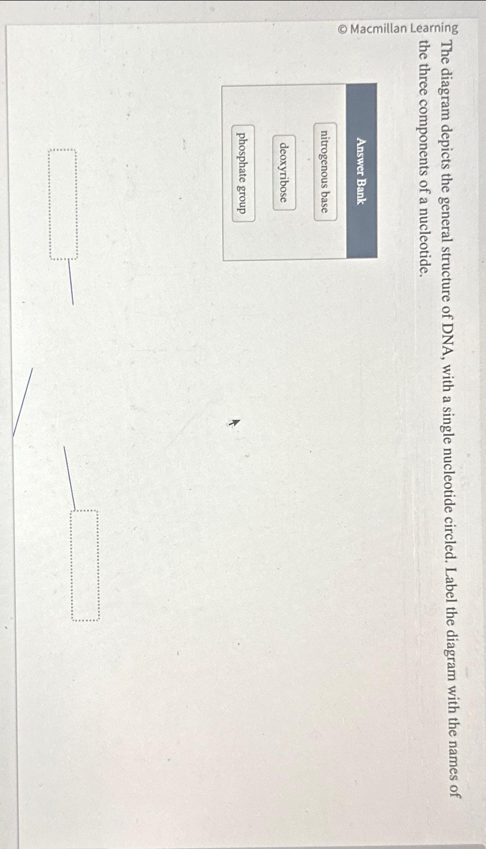 Solved The diagram depicts the general structure of DNA, | Chegg.com